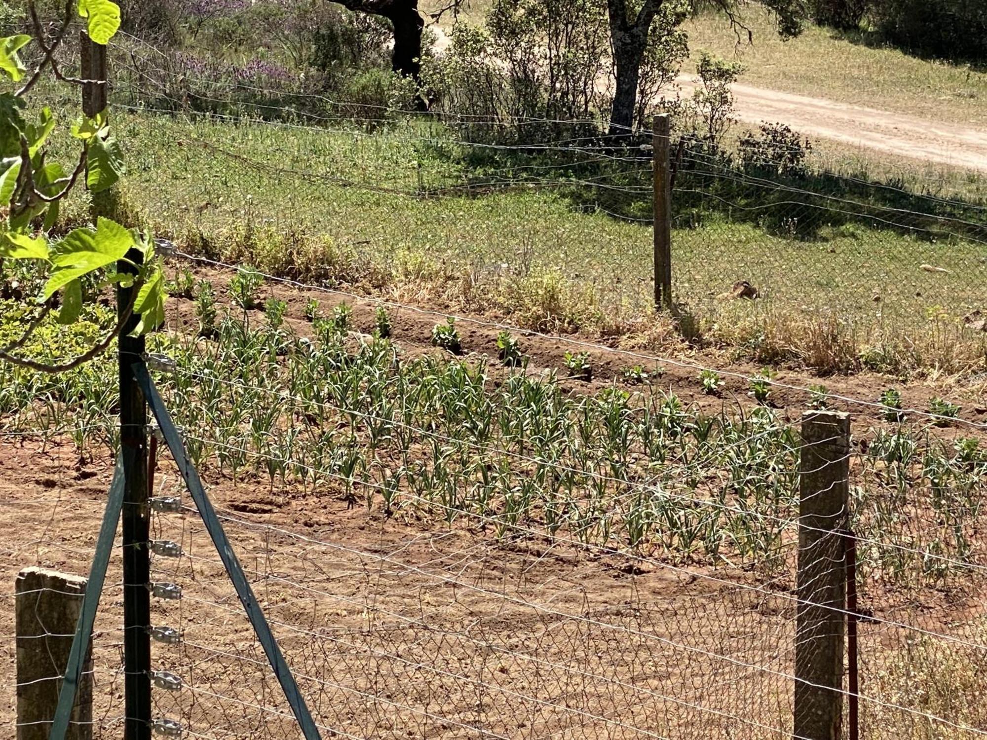 Las Chorreras Del Orejon 2 Villaviciosa de Córdoba Kültér fotó