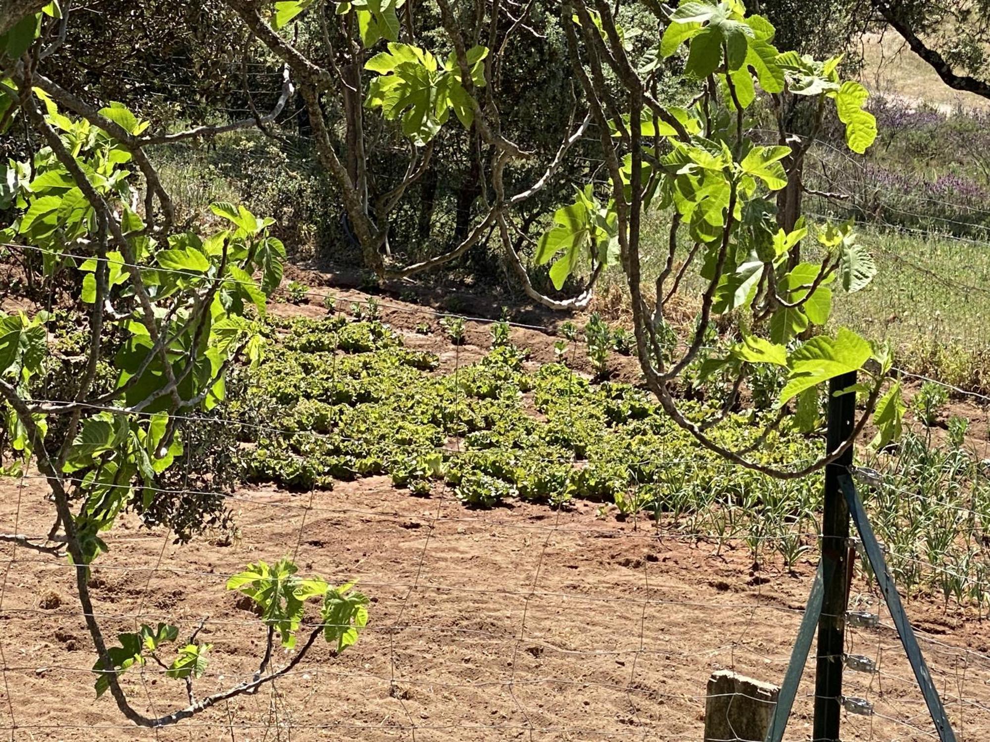 Las Chorreras Del Orejon 2 Villaviciosa de Córdoba Kültér fotó